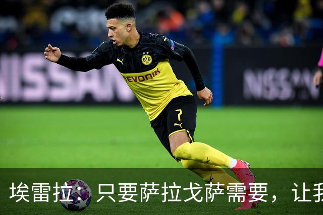 埃雷拉：只要萨拉戈萨需要，让我修剪草坪也没问题