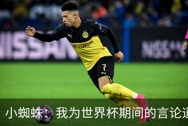 小蜘蛛：我为世界杯期间的言论道歉，换作我是球迷也会生气
