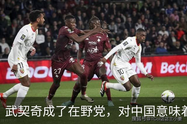 武契奇成了在野党，对中国意味着什么？