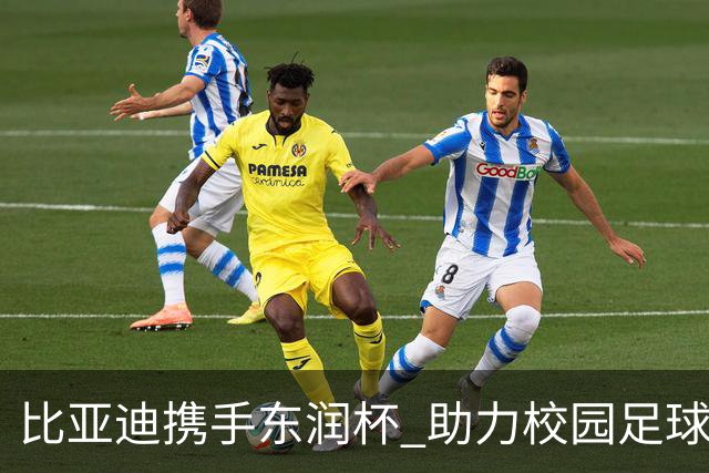比亚迪携手东润杯 助力校园足球少年圆梦工体