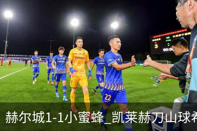 赫尔城1-1小蜜蜂 凯莱赫刀山球希基送点 麦克伯尼点射瓦塔拉扳平