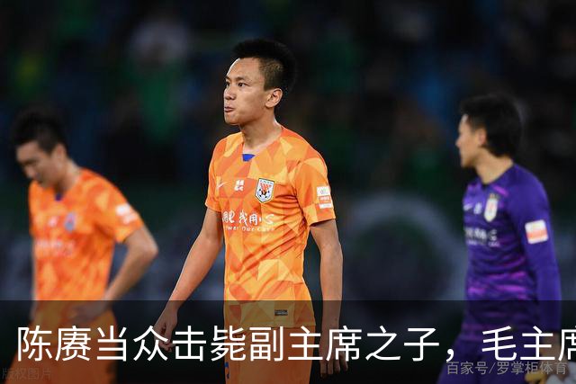 陈赓当众击毙副主席之子，毛主席一言不发，就送了一箱东西